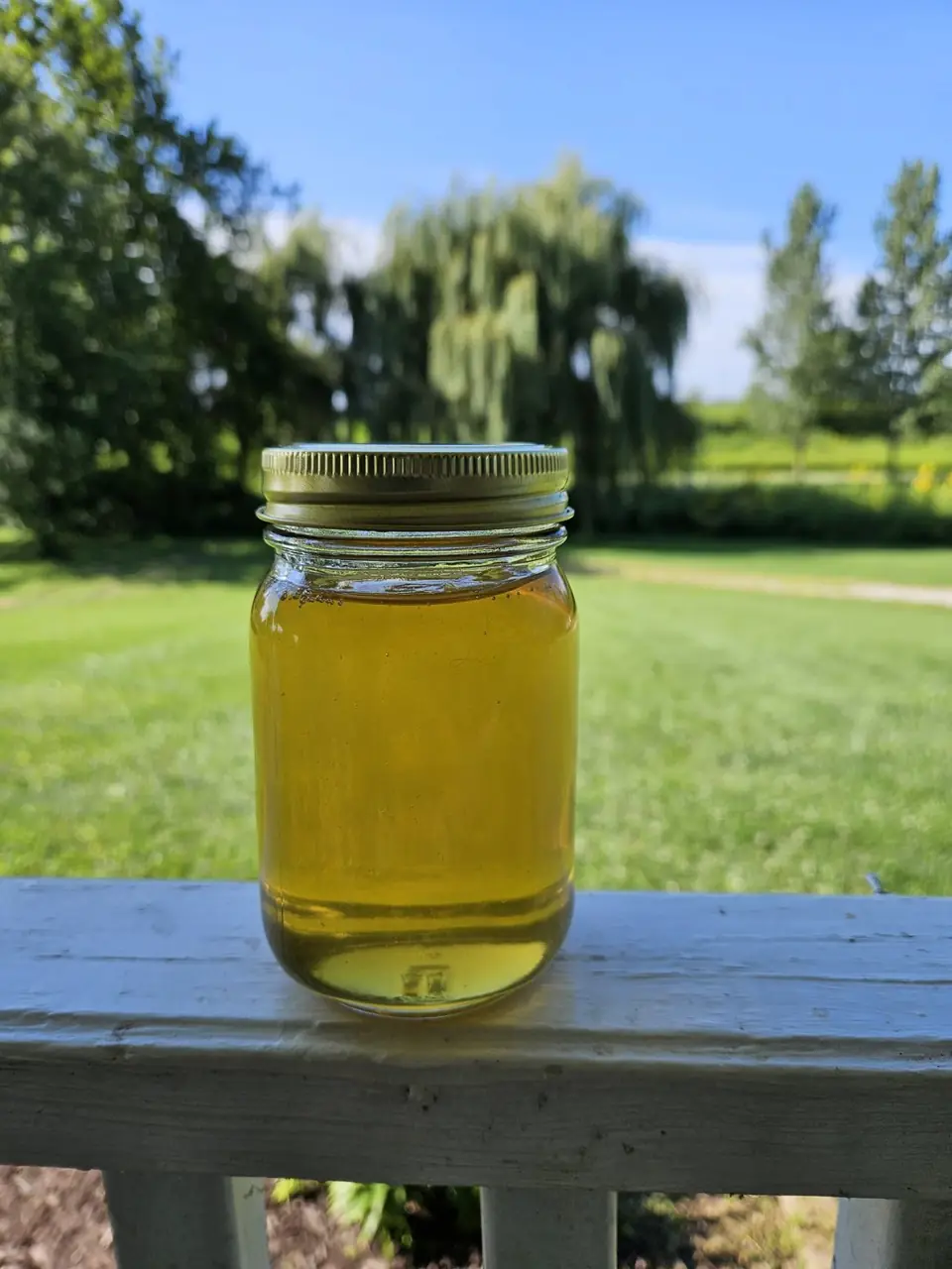 A jar of local honey in sunlight
