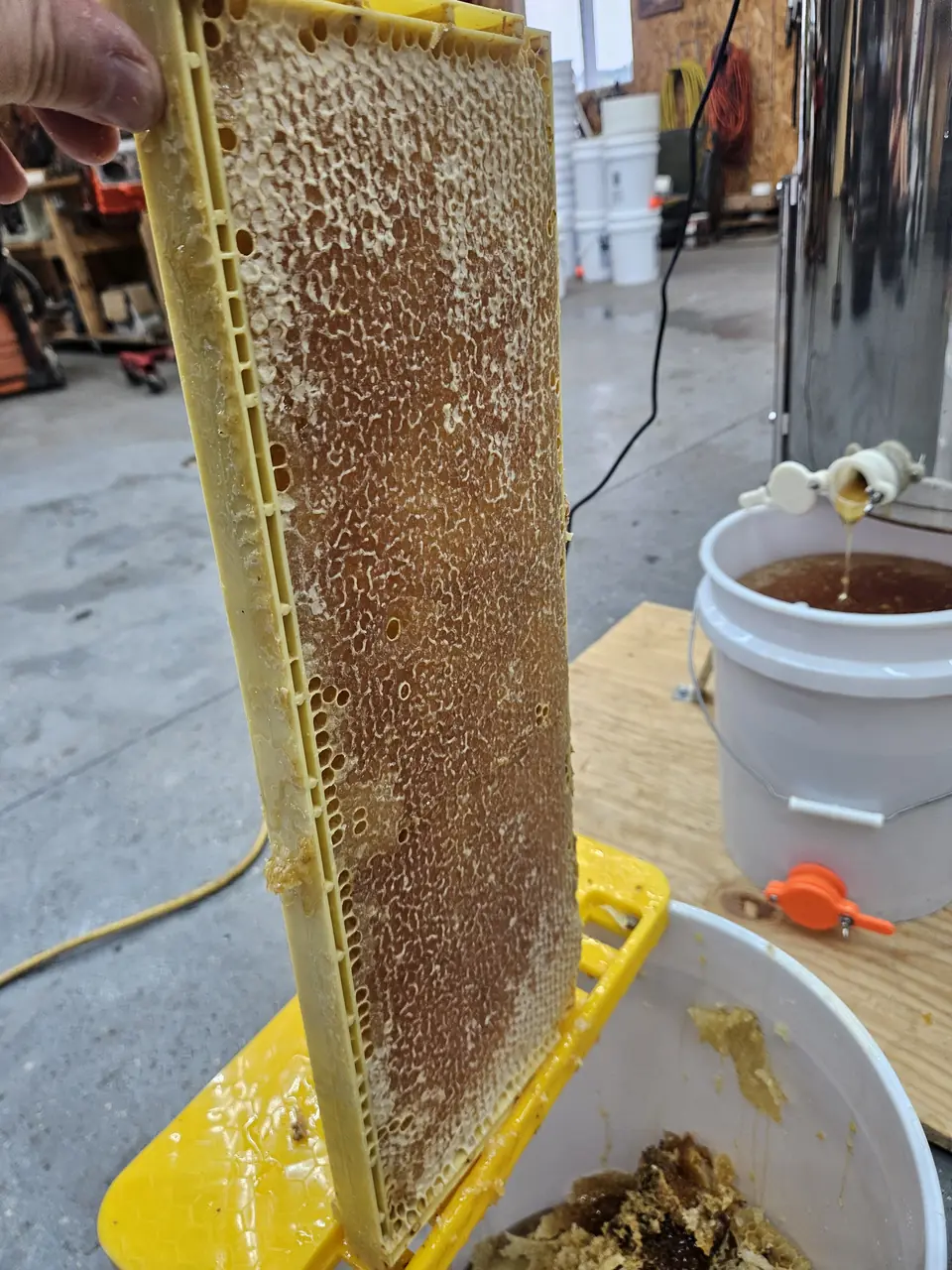 A frame of honeycomb above a bucket during honey extraction